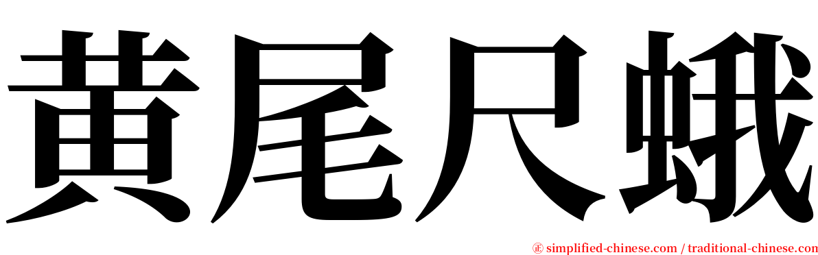 黄尾尺蛾 serif font