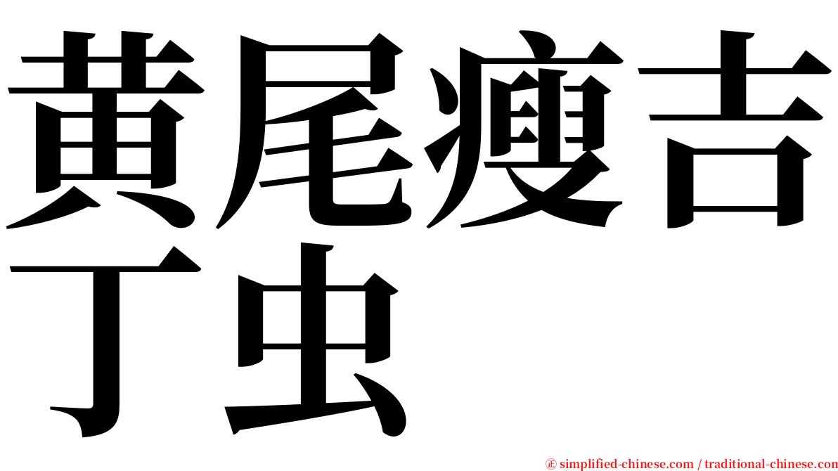 黄尾瘦吉丁虫 serif font