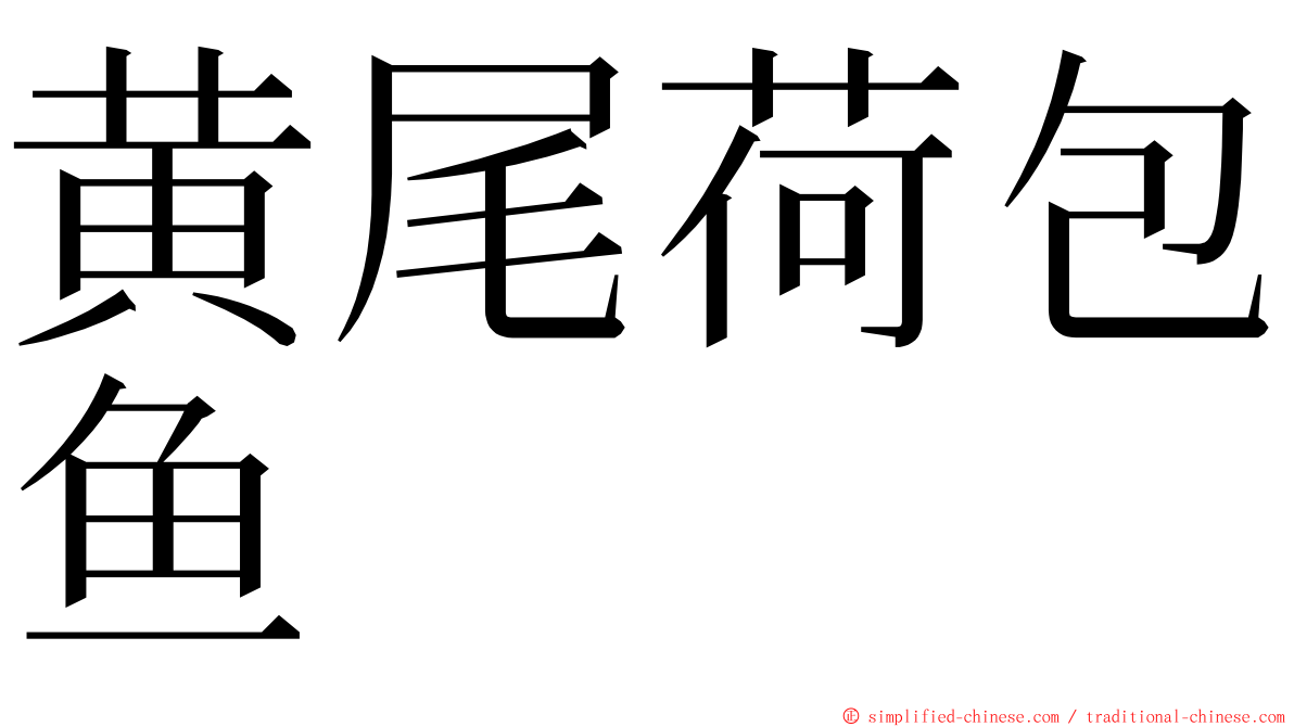 黄尾荷包鱼 ming font