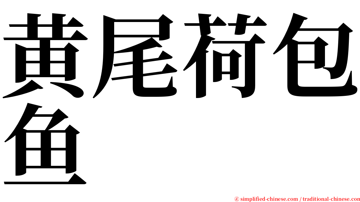 黄尾荷包鱼 serif font