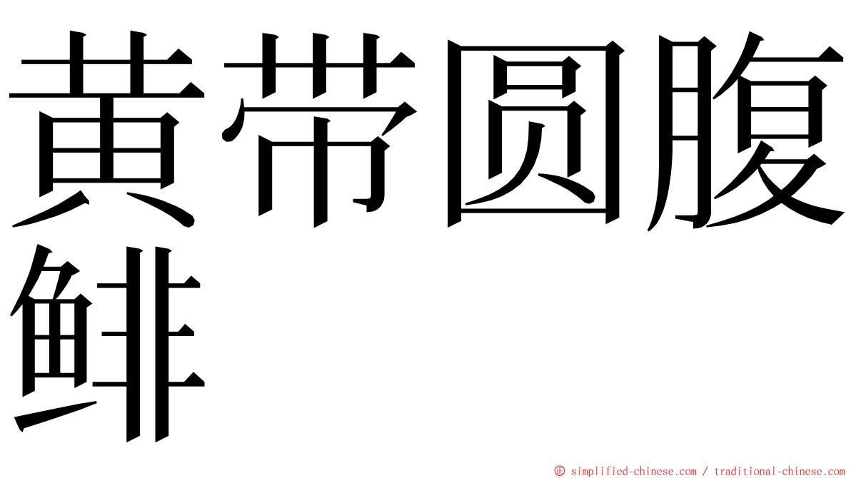 黄带圆腹鲱 ming font