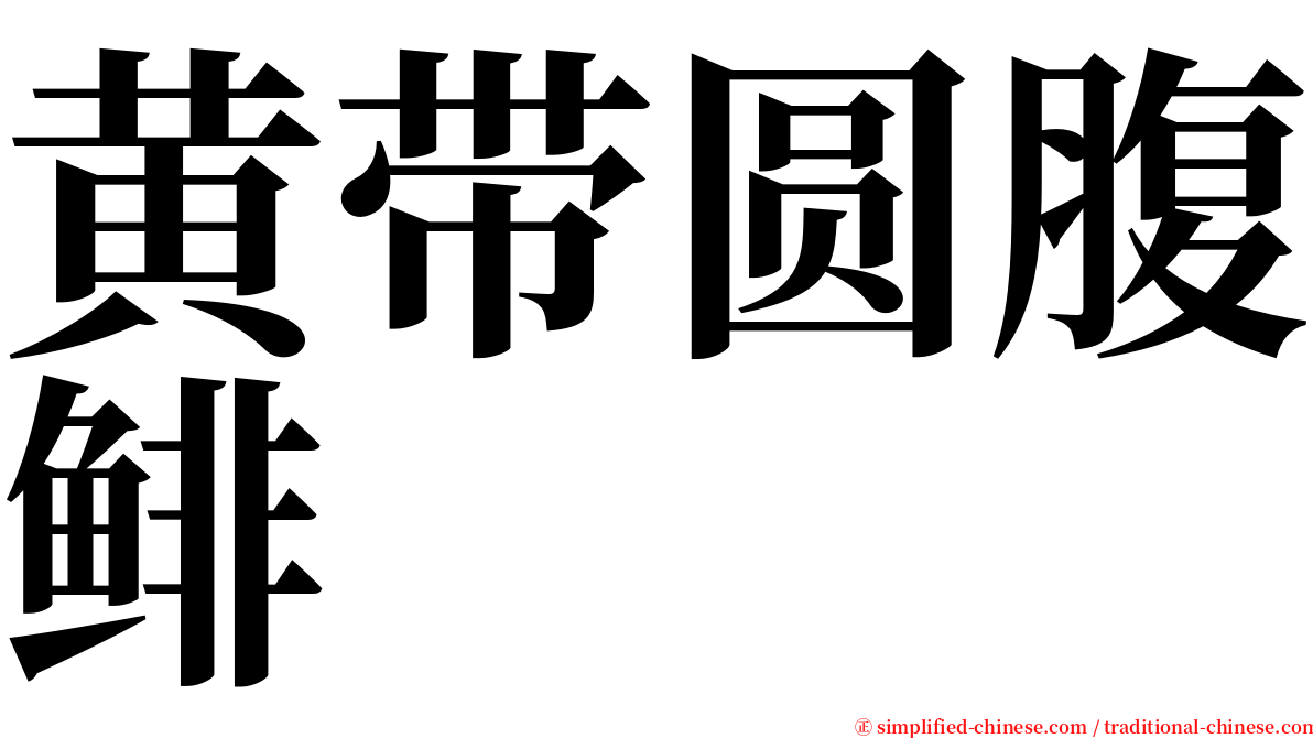 黄带圆腹鲱 serif font