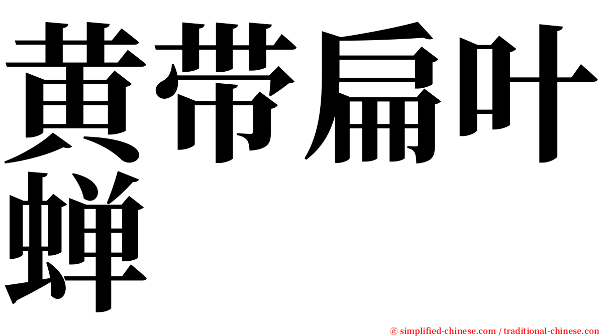 黄带扁叶蝉 serif font