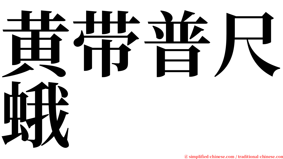 黄带普尺蛾 serif font