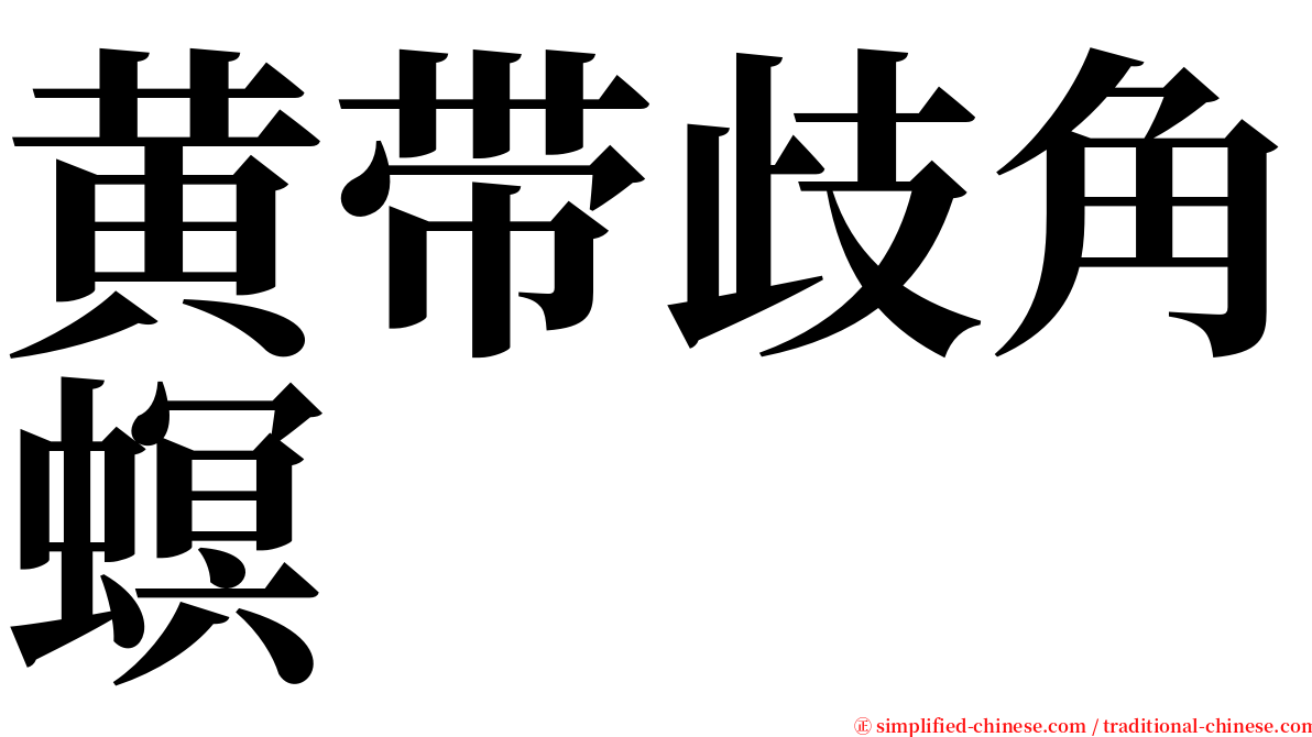 黄带歧角螟 serif font