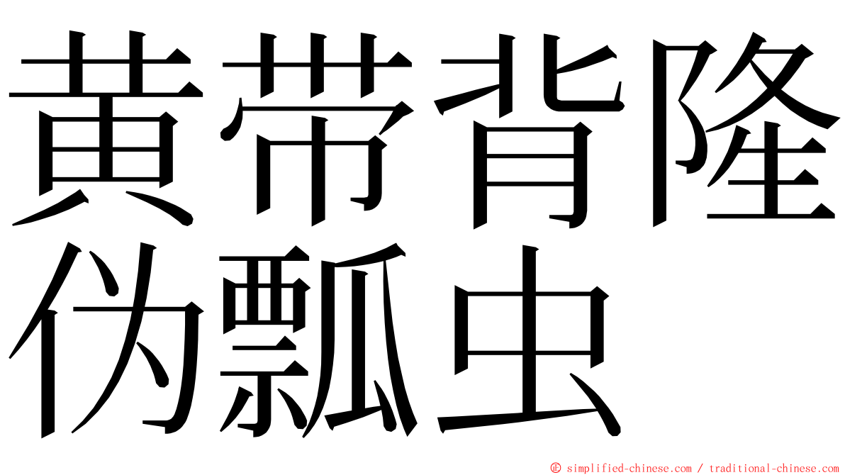 黄带背隆伪瓢虫 ming font