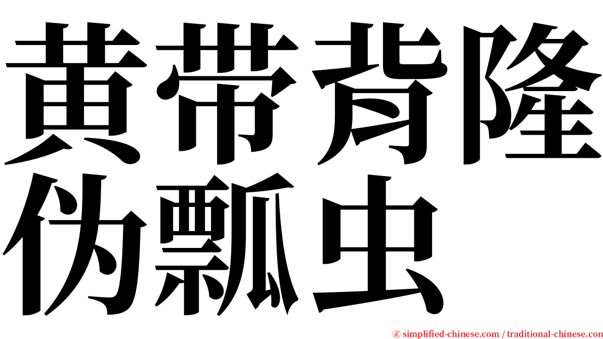 黄带背隆伪瓢虫 serif font