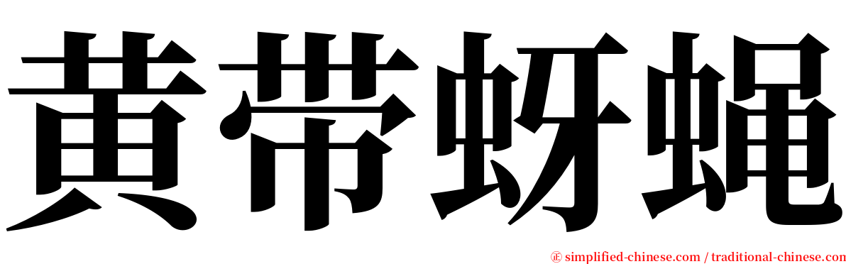 黄带蚜蝇 serif font