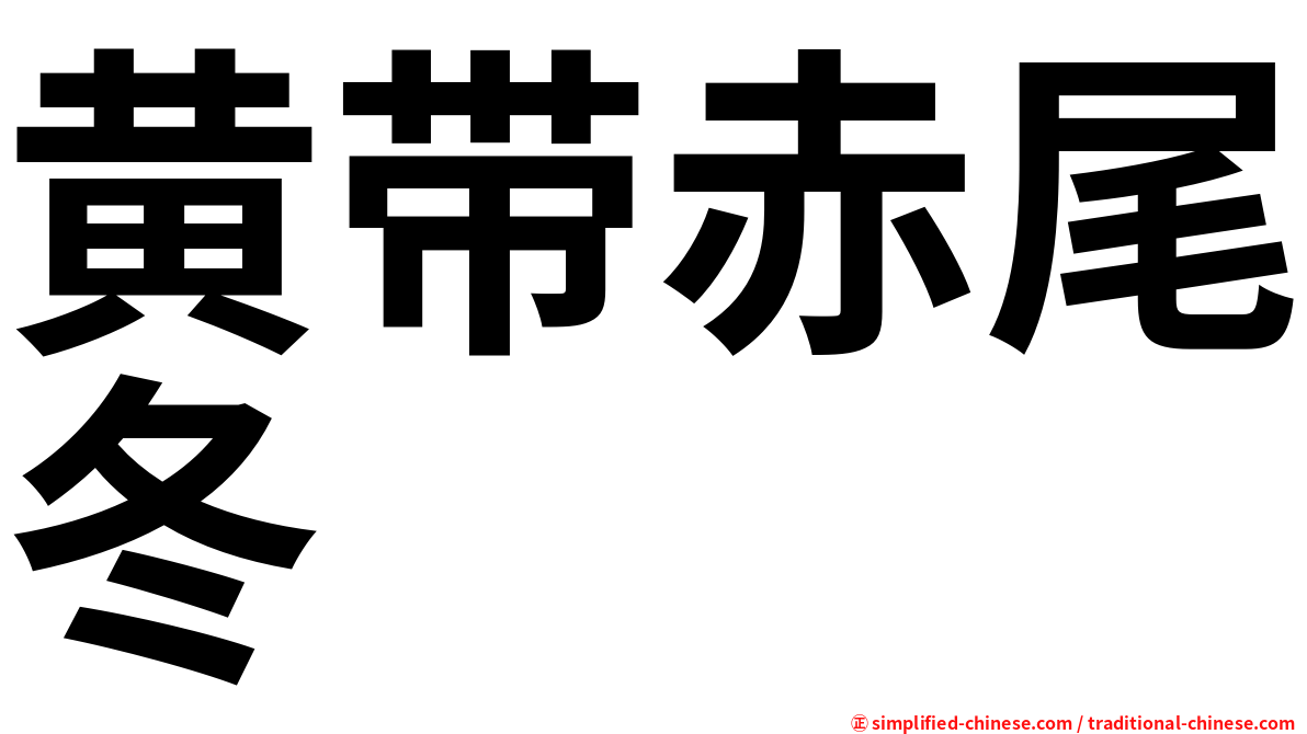 黄带赤尾冬