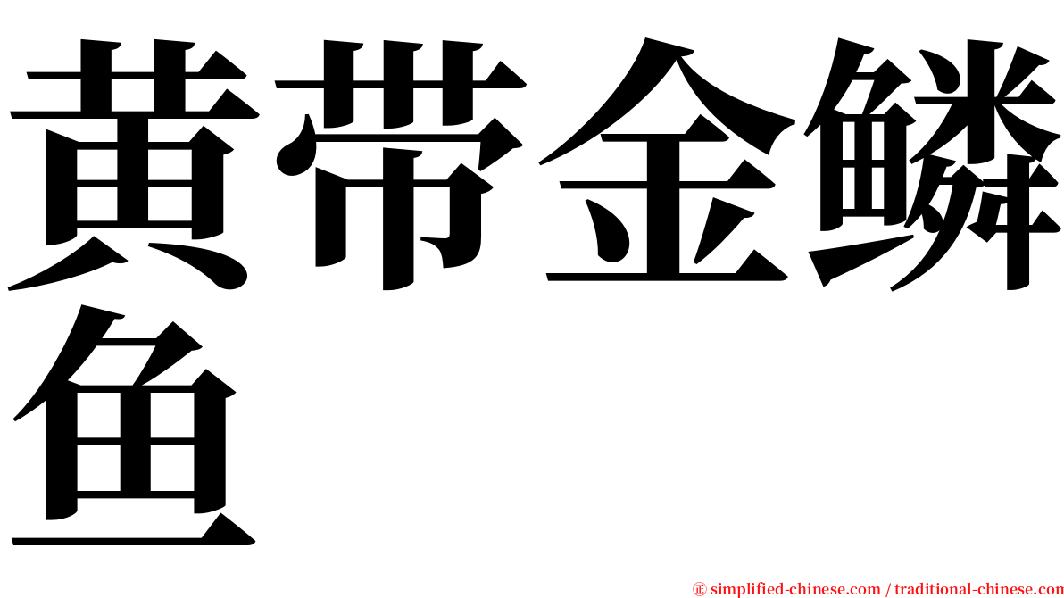 黄带金鳞鱼 serif font