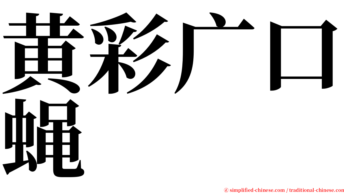 黄彩广口蝇 serif font