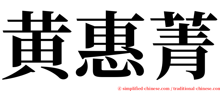 黄惠菁 serif font