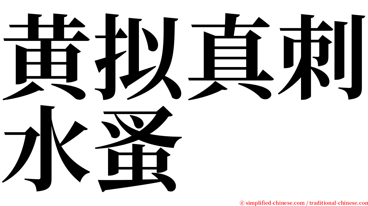 黄拟真刺水蚤 serif font