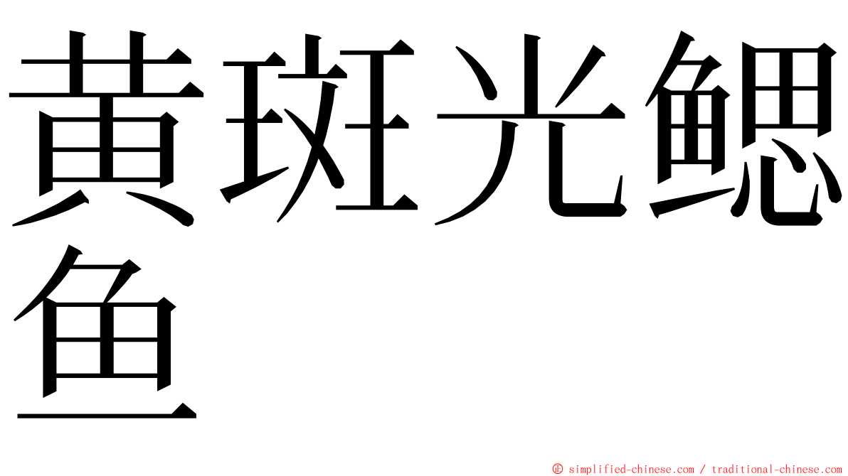 黄斑光鳃鱼 ming font