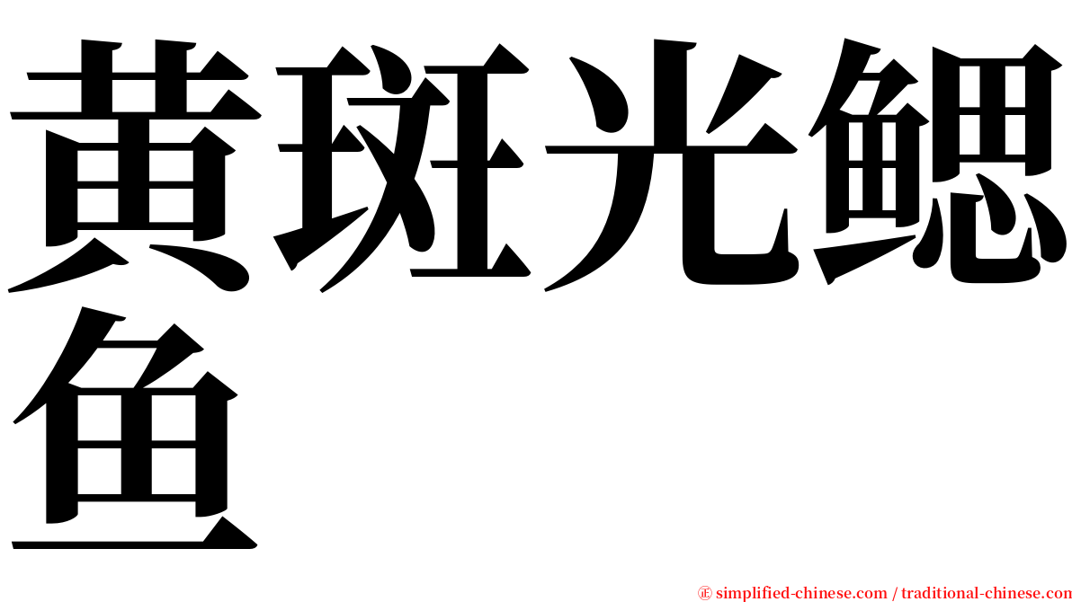 黄斑光鳃鱼 serif font