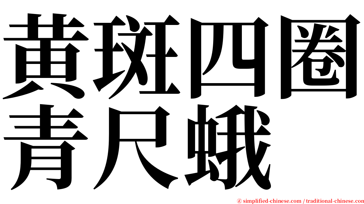 黄斑四圈青尺蛾 serif font