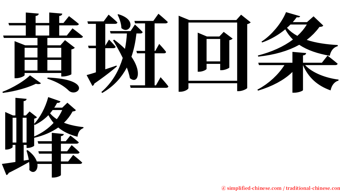 黄斑回条蜂 serif font