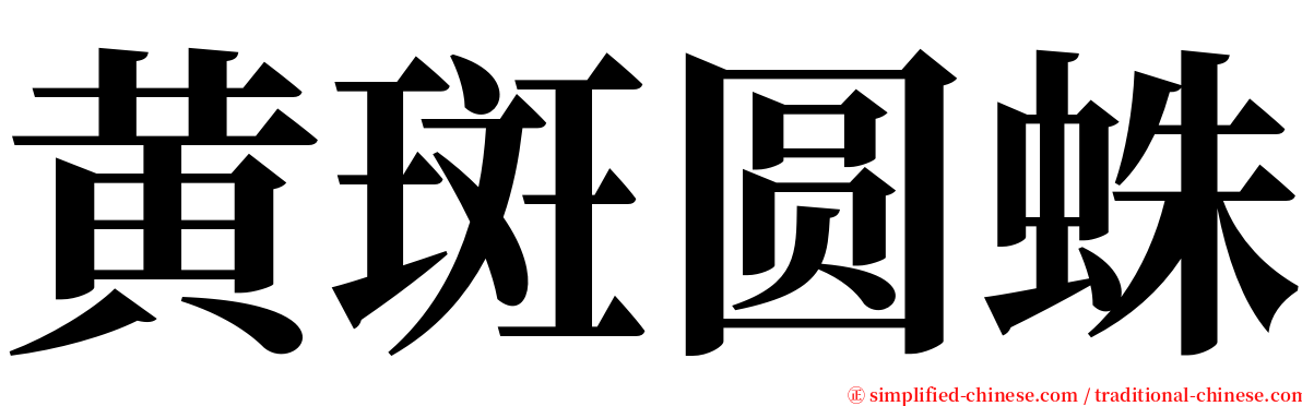 黄斑圆蛛 serif font