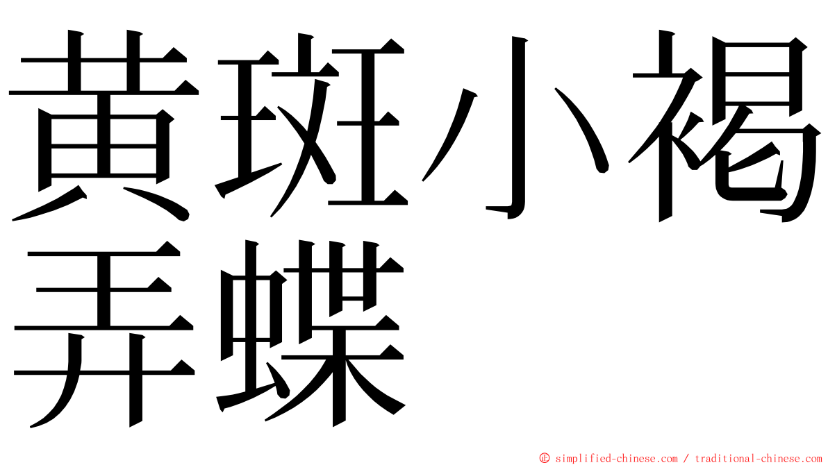 黄斑小褐弄蝶 ming font