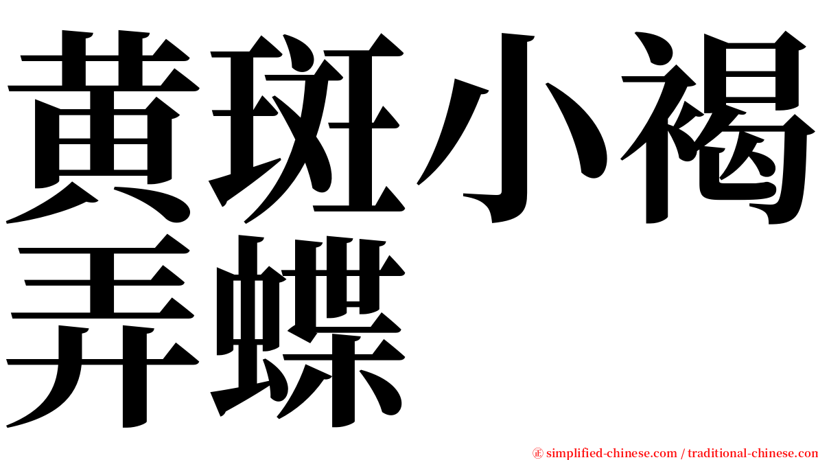 黄斑小褐弄蝶 serif font