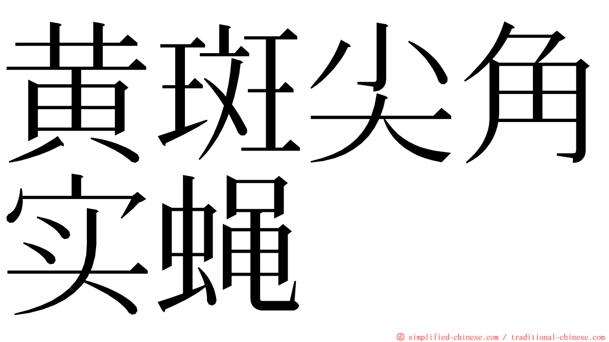 黄斑尖角实蝇 ming font