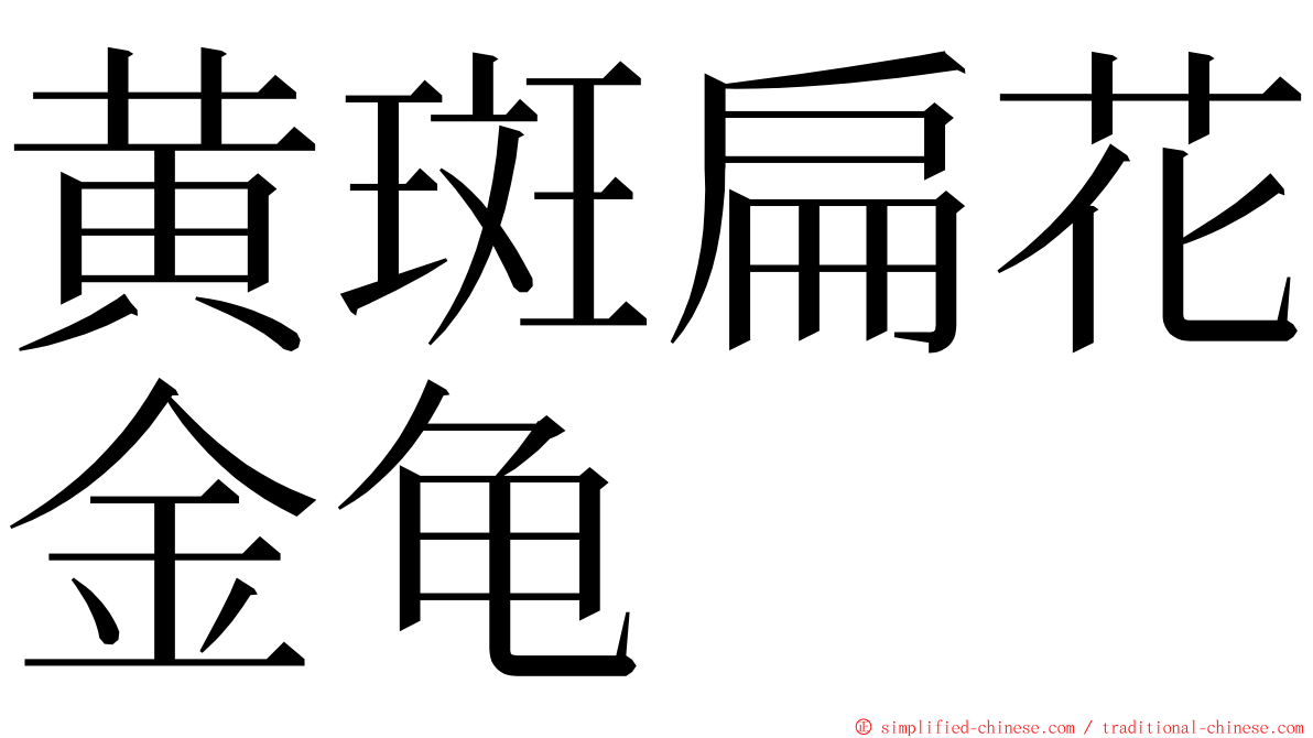 黄斑扁花金龟 ming font