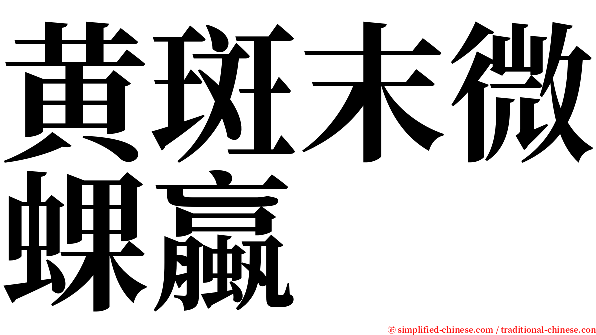 黄斑末微蜾蠃 serif font