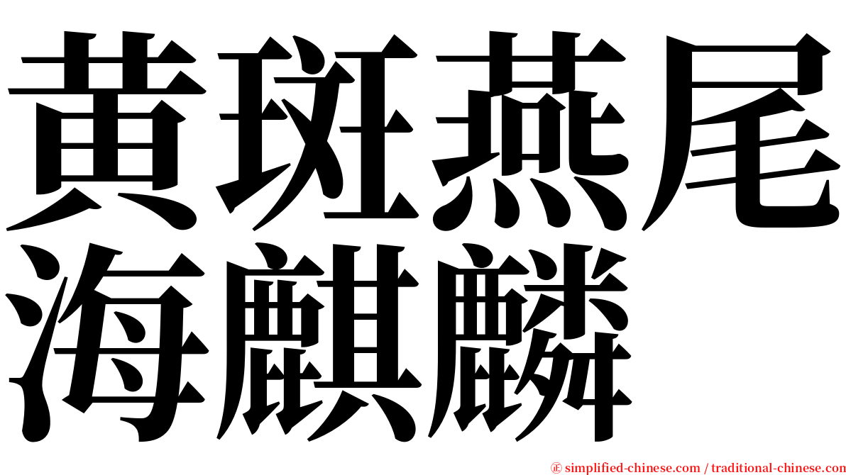 黄斑燕尾海麒麟 serif font