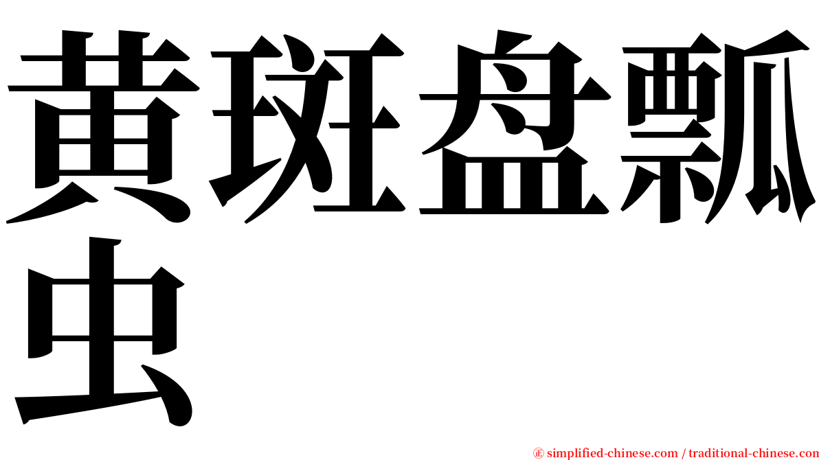 黄斑盘瓢虫 serif font
