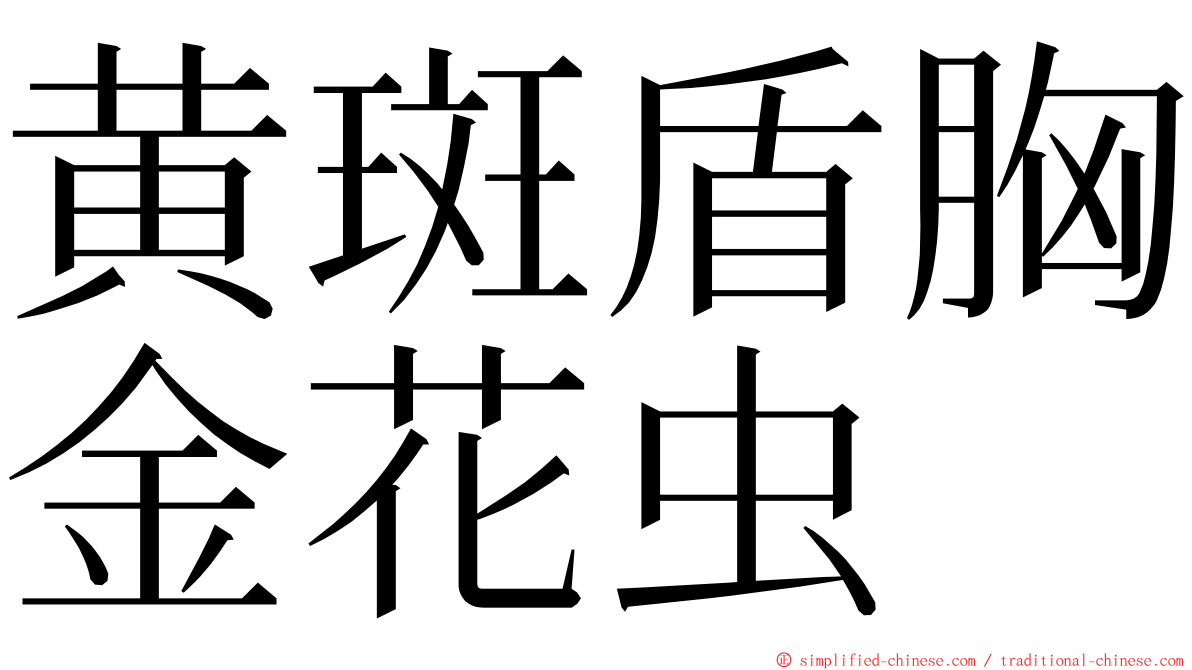 黄斑盾胸金花虫 ming font