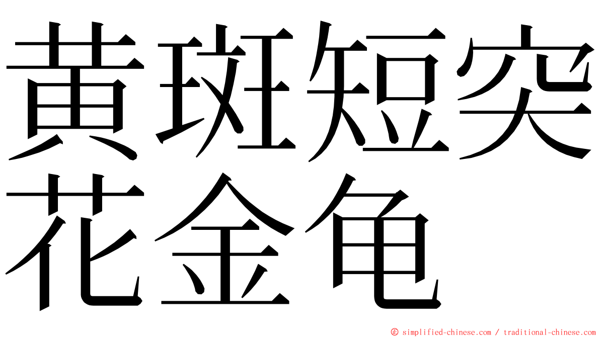 黄斑短突花金龟 ming font