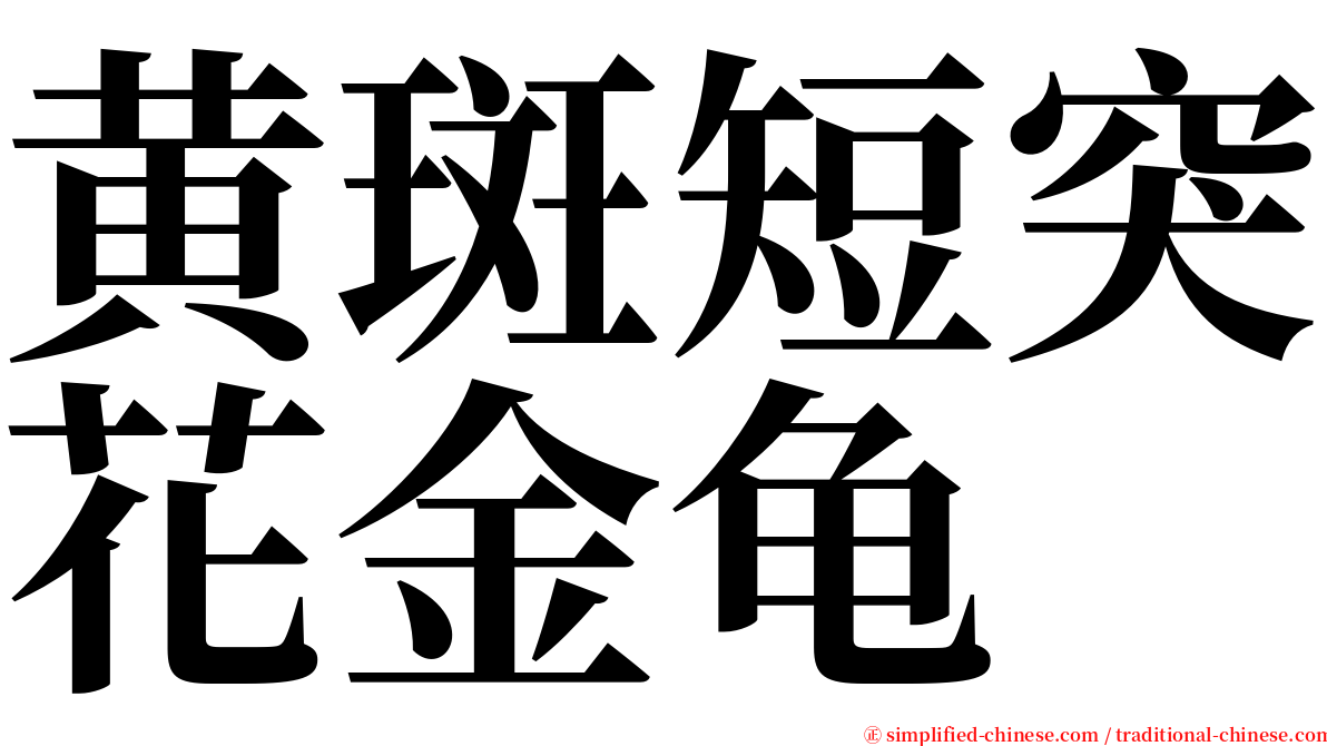 黄斑短突花金龟 serif font