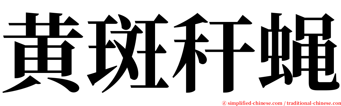 黄斑秆蝇 serif font