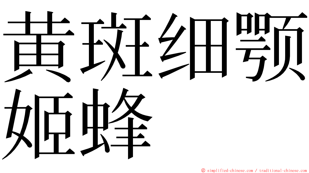 黄斑细颚姬蜂 ming font