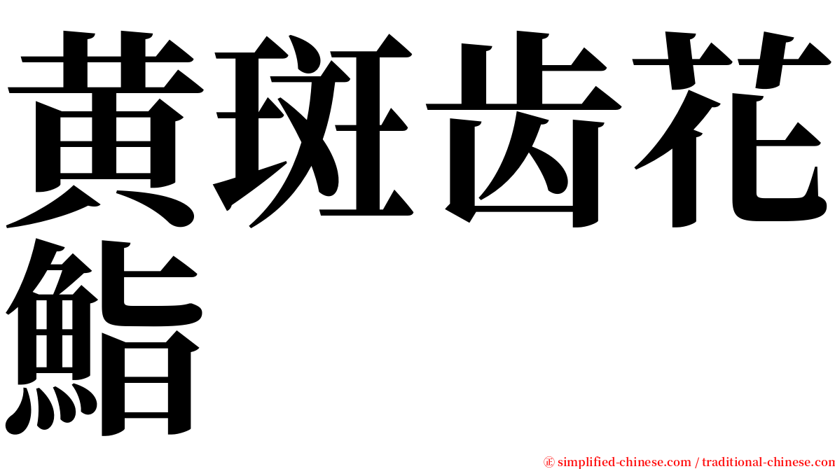 黄斑齿花鮨 serif font