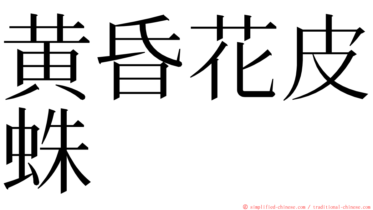 黄昏花皮蛛 ming font