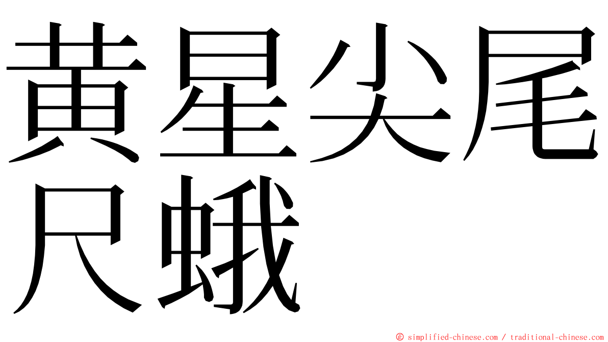 黄星尖尾尺蛾 ming font