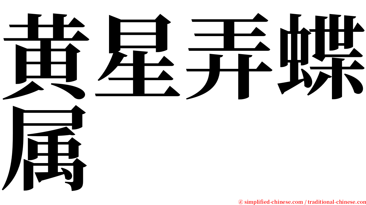 黄星弄蝶属 serif font