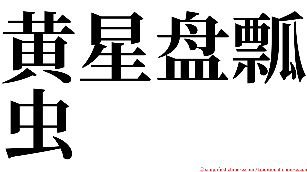 黄星盘瓢虫 serif font