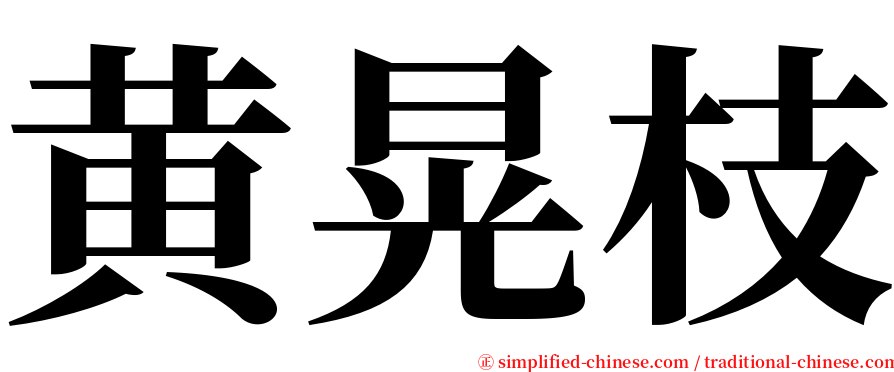 黄晃枝 serif font