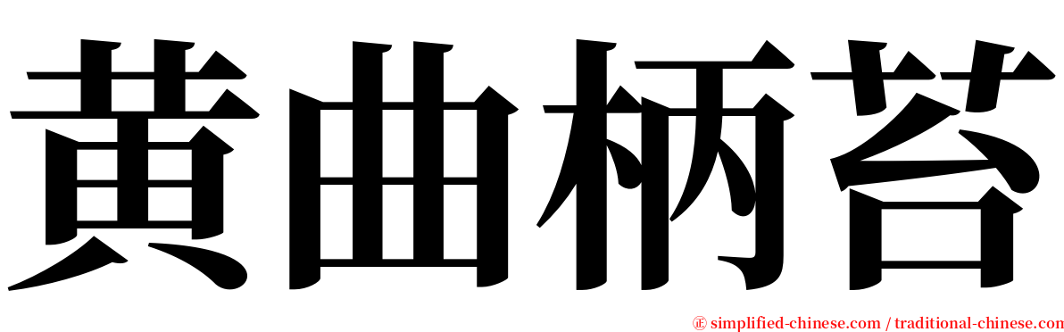 黄曲柄苔 serif font