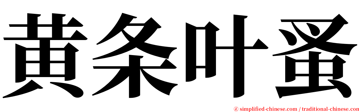 黄条叶蚤 serif font