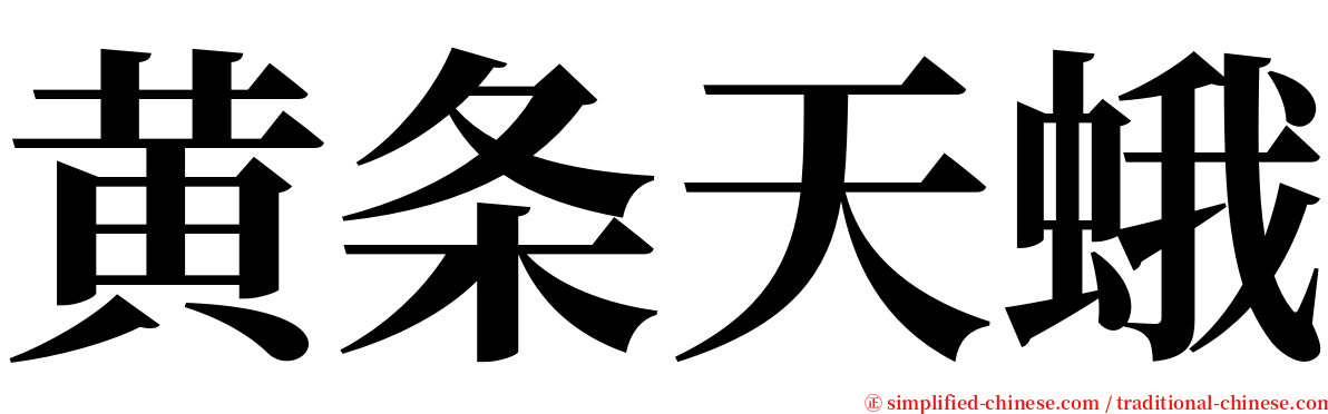 黄条天蛾 serif font