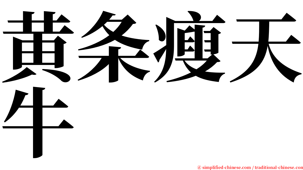 黄条瘦天牛 serif font