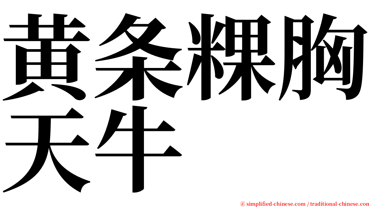 黄条粿胸天牛 serif font