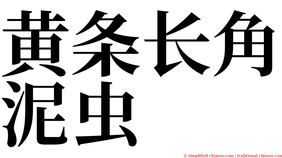 黄条长角泥虫 serif font