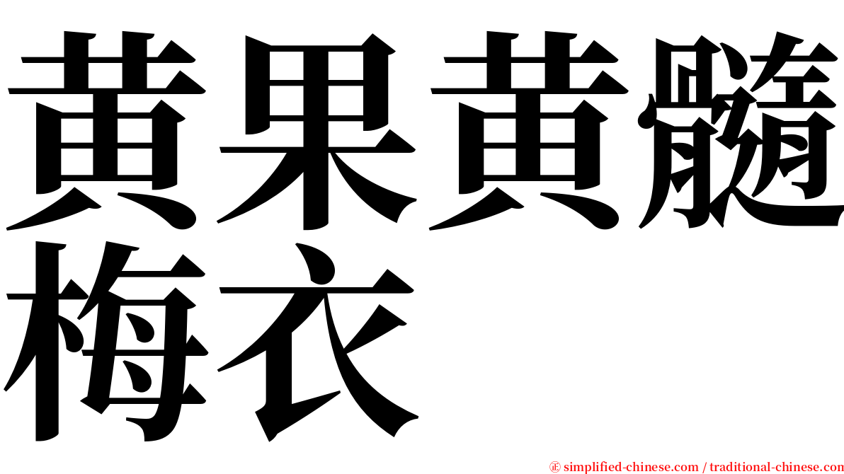 黄果黄髓梅衣 serif font