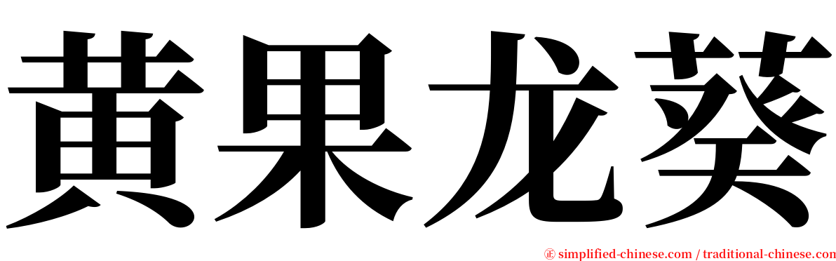 黄果龙葵 serif font