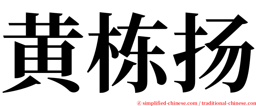 黄栋扬 serif font