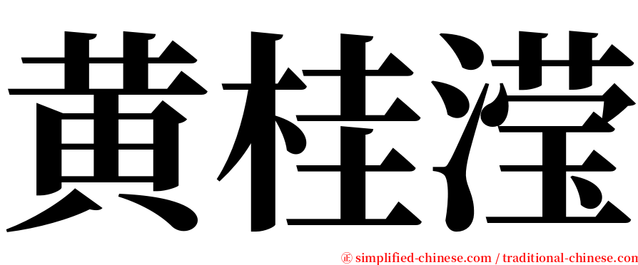 黄桂滢 serif font